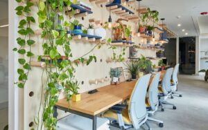 Kako opremiti coworking prostore