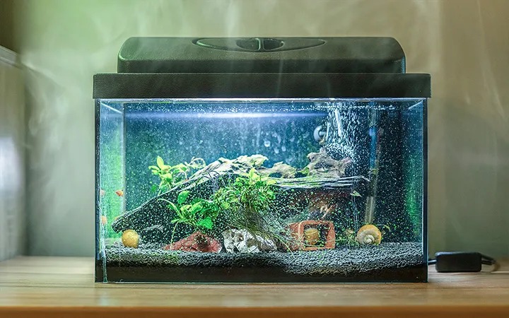 Kako se znebiti vlage?